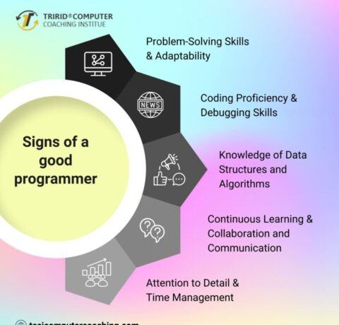 What Makes A Programmer Stand Out: Essential Skills And Qualities