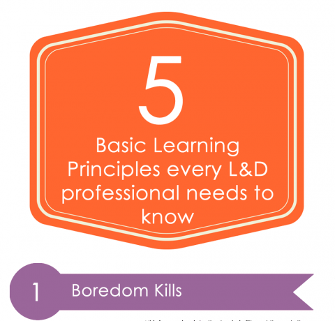 5 Learning Principles L&D Professionals Need To Know Infographic