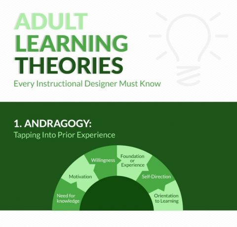 Adult Learning Theories Every Instructional Designer Must Know Infographic