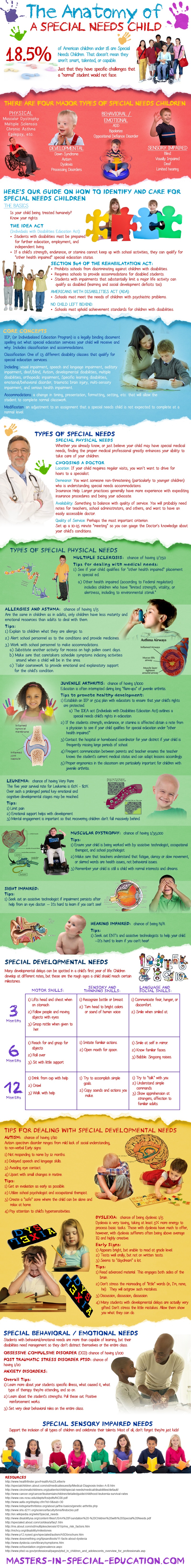 Anatomy of a Special Needs Child Infographic