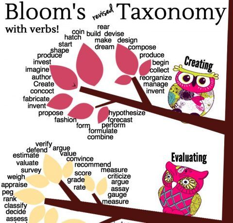 Bloom's Revised Taxonomy Action Verbs infographic