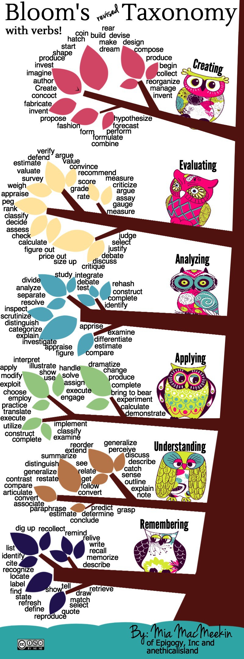 Bloom's Revised Taxonomy Action Verbs infographic