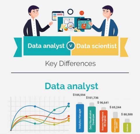 Differences Between Data Scientists And Data Analysts Infographic
