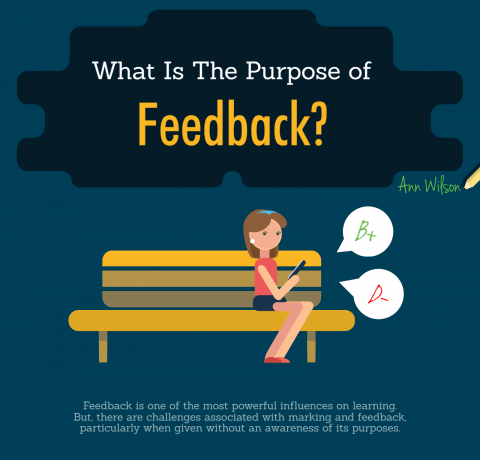 Giving Students Feedback on Assessment Infographic