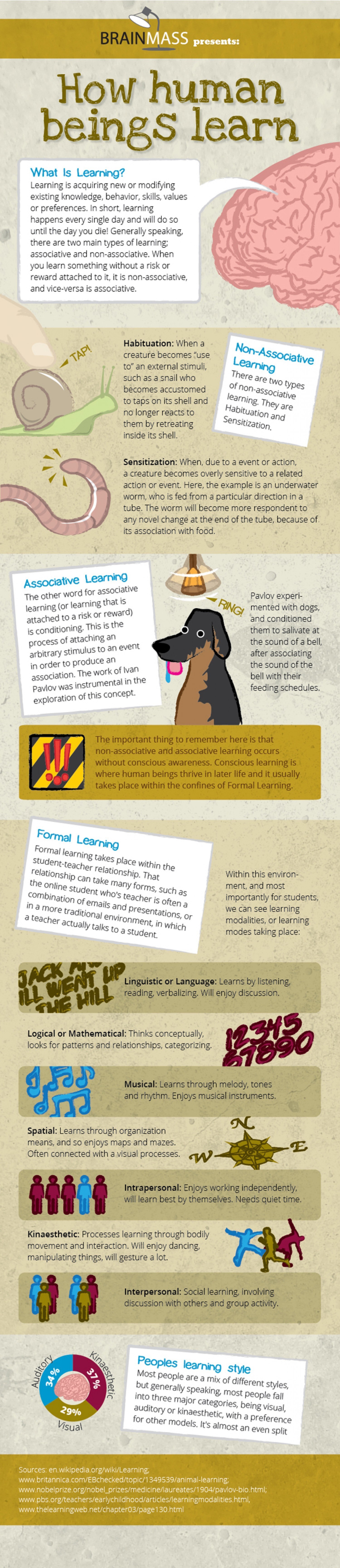 How Human Beings Learn Infographic