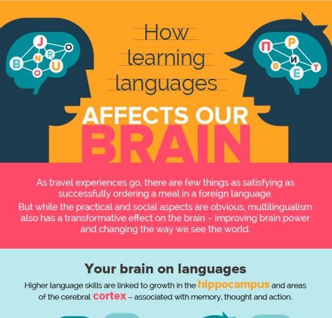 How Learning Languages Affects Our Brain Infographic