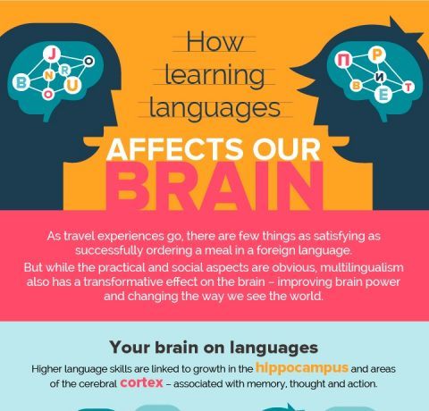 How Learning Languages Affects Our Brain Infographic - e-Learning ...