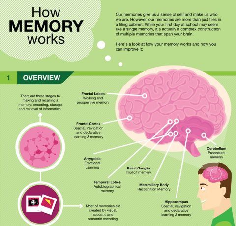 research article about memory