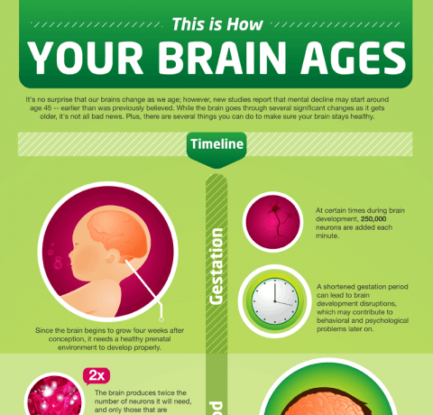 How Your Brain Ages Infographic