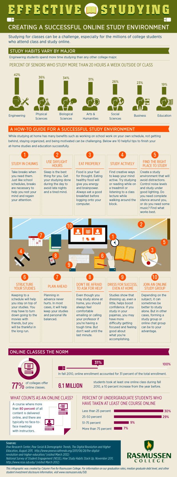 How to Create a Successful Online Study Environment Infographic