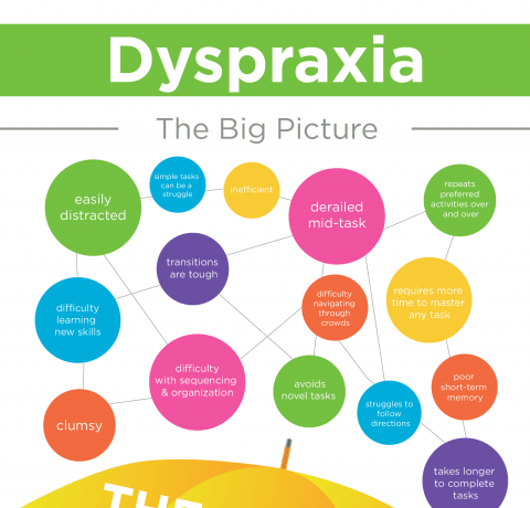 How to Deal With Dyspraxia Infographic