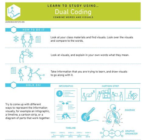 How to Study Using Dual Coding Infographic