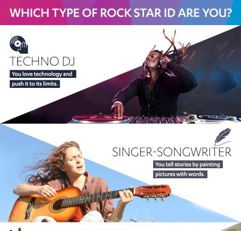 Which Type of Rock Star Instructional Designer are You? Infographic