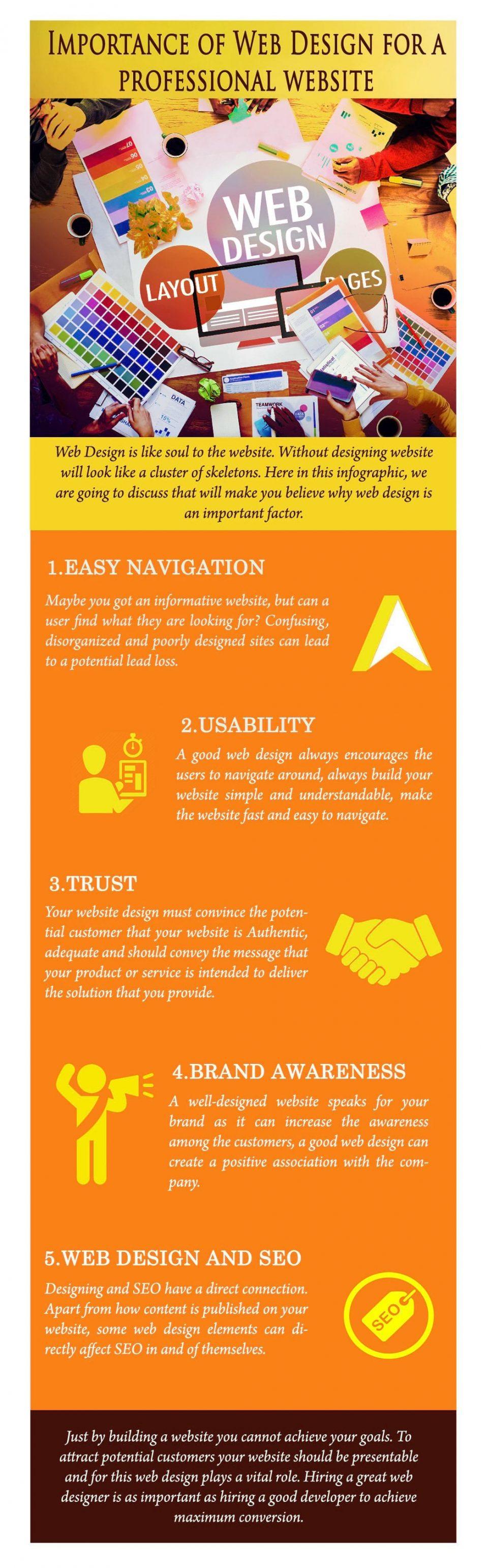 The Importance Of Web Design For A Professional Website Infographic