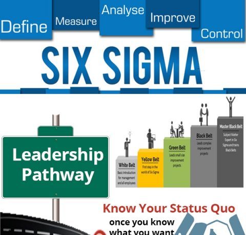 Six Sigma Leadership Pathway Infographic