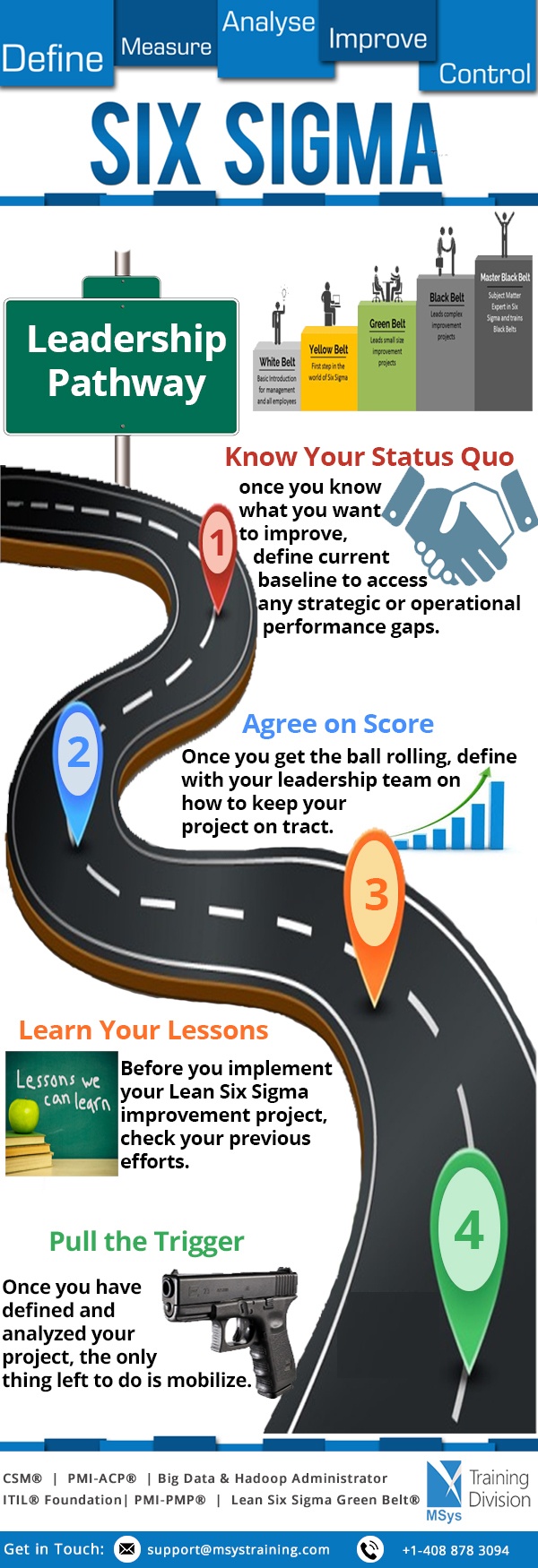 Six Sigma Leadership Pathway Infographic