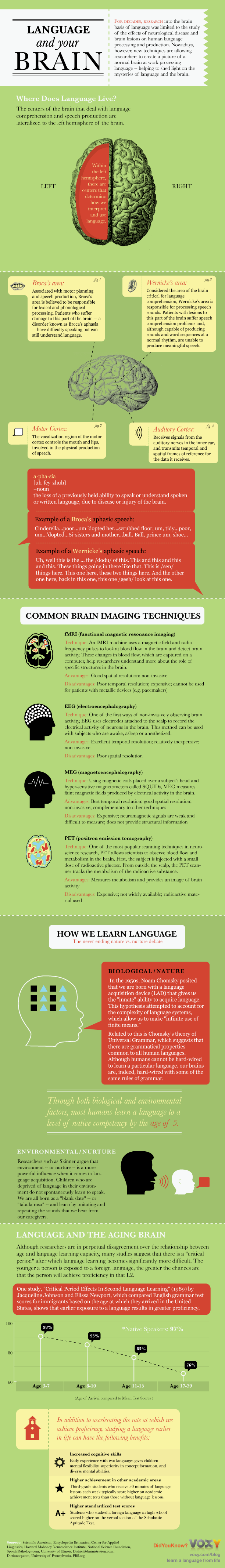 Language and the Brain Infographic
