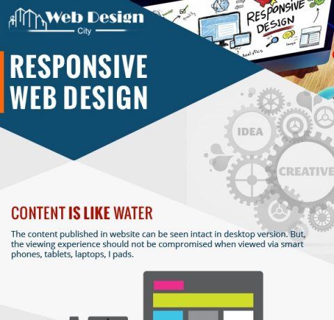 Web Designing Ideas for Educational Institutes Infographic