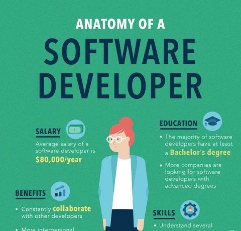 software development infographic