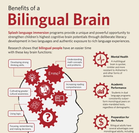 Benefits of a Bilingual Brain Infographic - e-Learning Infographics