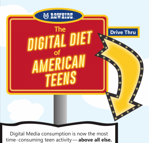 The Digital Diet of the American Teen Infographic