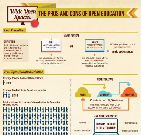 The Pros and Cons of Open Education Infographic