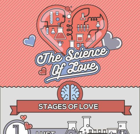 The Science of Love InfographicThe Science of Love Infographic