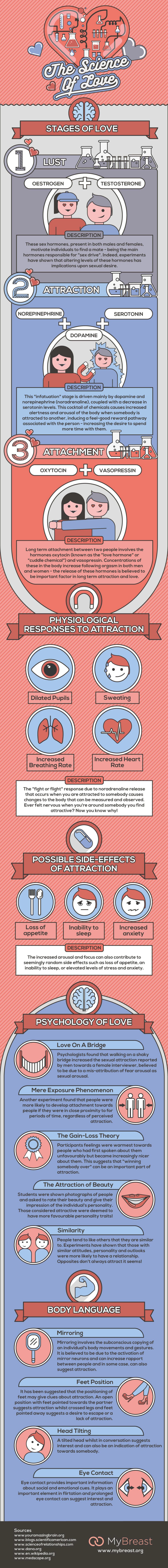 The Science of Love Infographic