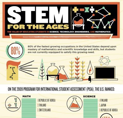 Infographic About Stem