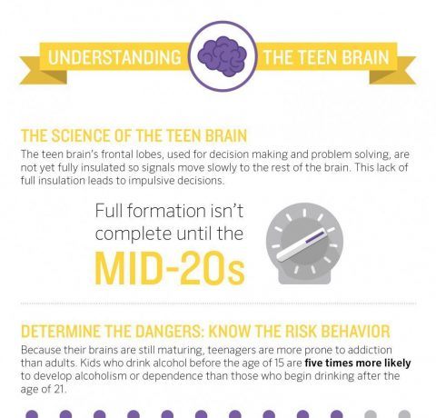 Understanding the Teen Brain Infographic