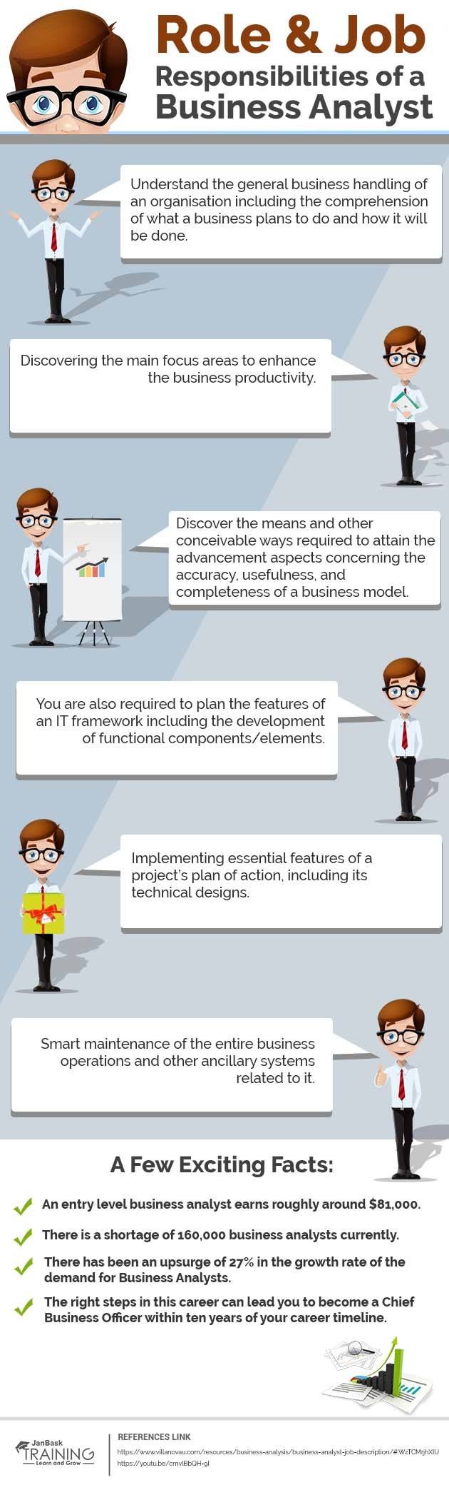 What Are The Role And Job Responsibilities Of A Business Analyst Infographic