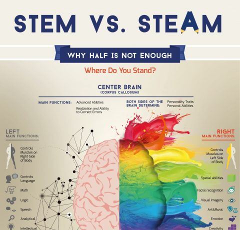 Why Half-Brain Teaching Isn't Enough Infographic