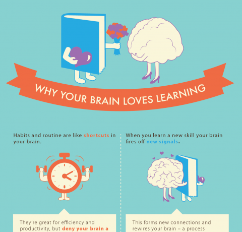 Why Your Brain Loves Learning Infographic