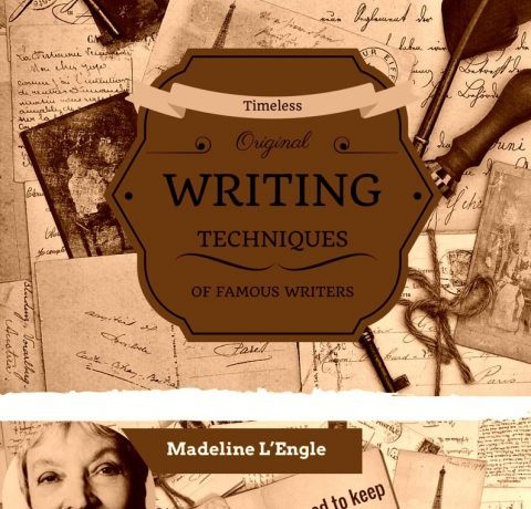 Different Writing Techniques of Famous Writers Infographic