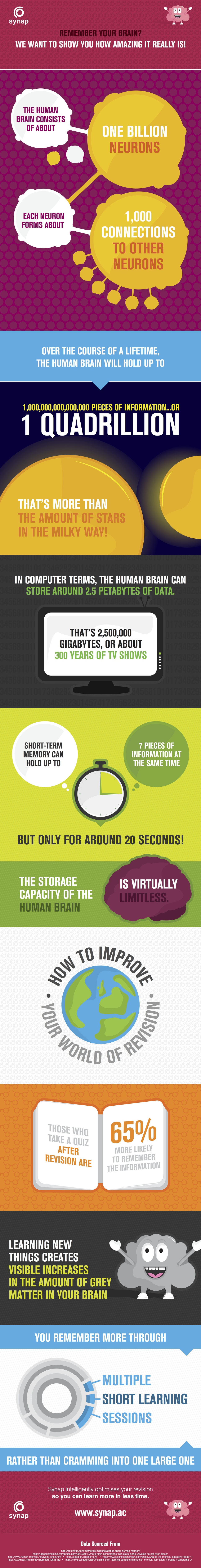 Your Amazing Memory Infographic