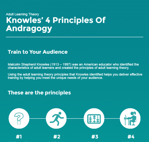 andragogy theory