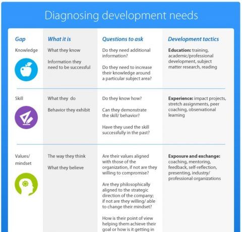 Diagnosing Employee Development Needs Infographic