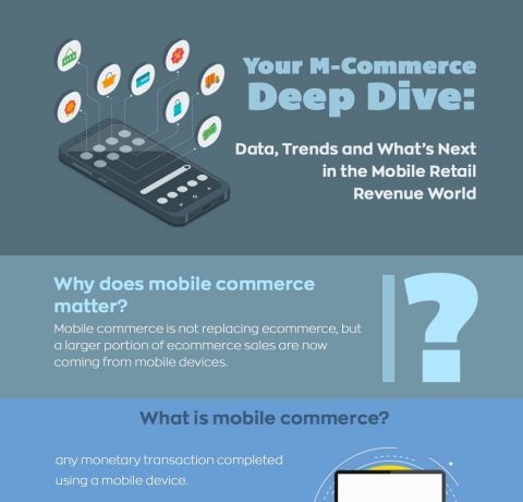 The Ultimate Use Of Mobile eCommerce Infographic