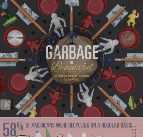 Better Recycling Starts With Education Infographic